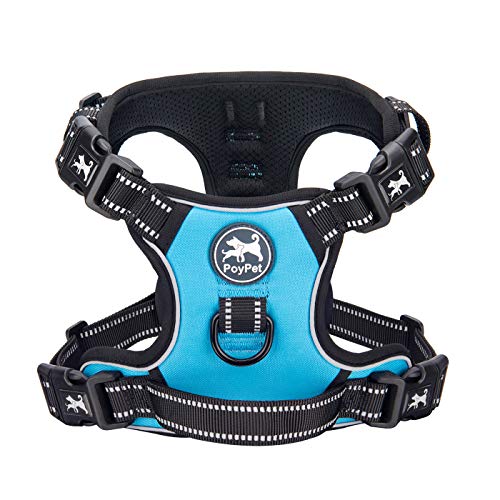 PoyPet Dog Harness No Pull, Reflective with Front & Back 2 Leash Hooks and an Easy Control Handle Pet Harness for Puppy Small Dog, Adjustable Soft Padded Vest Harness(Blue,S)