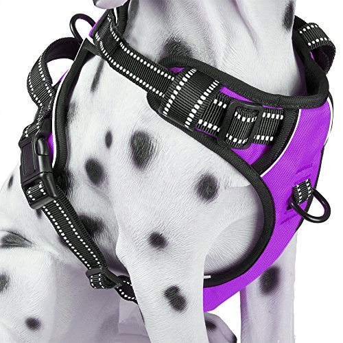 PoyPet No Pull Dog Harness, Reflective Comfortable Vest Harness with Front & Back 2 Leash Attachments and Easy Control Handle Adjustable Soft Padded Pet Vest for Small to Large Dogs (Purple,M)