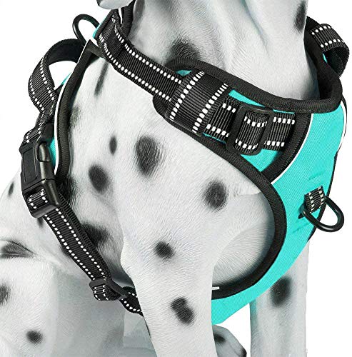 PoyPet No Pull Dog Harness, Reflective Comfortable Vest Harness with Front & Back 2 Leash Attachments and Easy Control Handle Adjustable Soft Padded Pet Vest for Small to Large Dogs (Mint Blue,L)