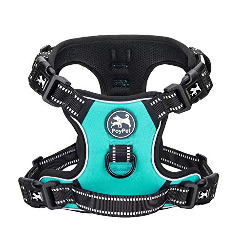 PoyPet No Pull Dog Harness with 4 Snap Buckles, Reflective with Front & Back 2 Leash Hooks and an Easy Control Handle [NO Need Go Over Dog’s Head](Mint Blue,L)