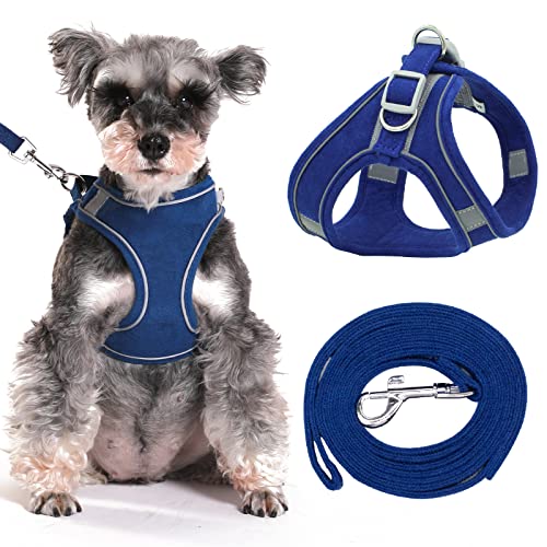 Puppy Dog Harness Leash Set, Soft Adjustable Reflective No Pull Pet Harness for XX XS Small Medium Breed Dogs, Blue XSmall