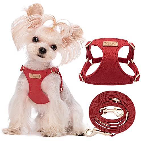 Puppytie No Pull XXS Puppy Harness with Multifunction Dog Leash,Soft Adjustable No Choke Escape Proof Pet Harness Vest,red Hawthorn,XXS