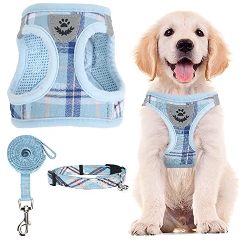 PUPTECK Adjustable Dog Harness Collar and Leash Set Step in No Pull Pet Harness for Small Medium Dogs Puppy and Cats Outdoor Walking Running, Soft Mesh Padded Reflective Vest Harnesses, Blue XS