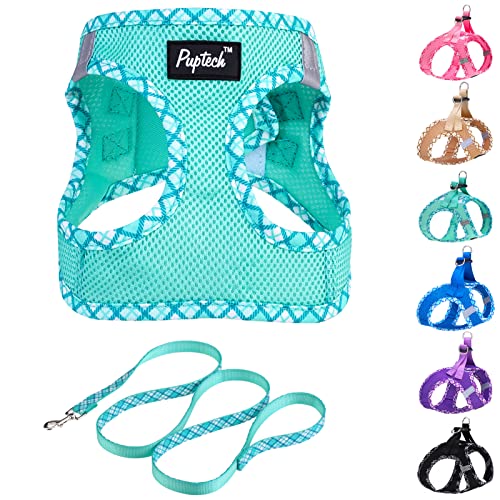 PUPTECK Dog Harness and Leash Set for Small Medium Dogs No Pull Step-in Soft Mesh Puppy Cat Vest Harnesses Reflective at Night, Green S