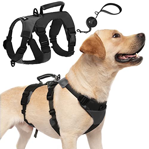 PUPTECK Escape Proof Dog Harness - Adjustable No Pull Dog Vest and Double Handles Leash Set Soft Padded Lift Handle for Medium Large Dogs Training Hiking Walking Hunting, Black Large