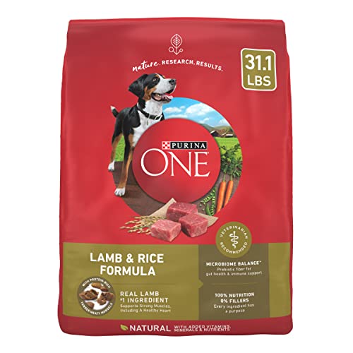 Purina ONE Dry Dog Food Lamb and Rice Formula - 31.1 lb. Bag