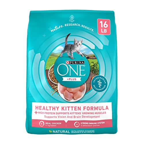 Purina ONE High Protein, Natural Dry Kitten Food, +Plus Healthy Kitten Formula - 16 lb. Bag