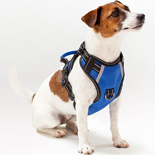 Puwihoe No Pull Dog Harness, Reflective Walking Dog Harness with Easy Control Handle and Front & Back Clips,Adjustable Breathable Soft Padded Dog Vest Harness for Jack Russell Terrier Dog,Blue,S