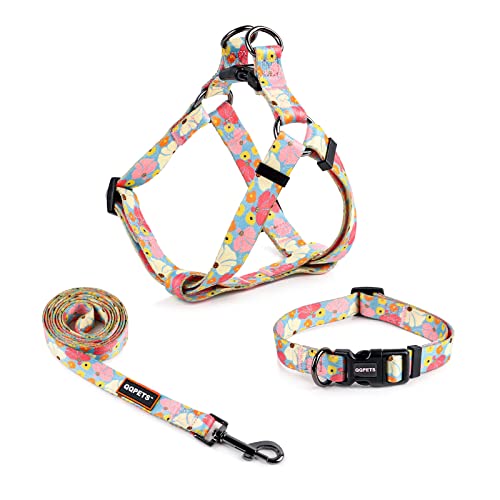 QQPETS Dog Harness Collar Leash - No Pull Pet Adjustable Back Clip Halter Basic Collar Heavy Duty 5FT Anti-Twist Leash for Extra Small Puppy Medium Large Breed Training Easy Walk Running(XS,Butterfly)