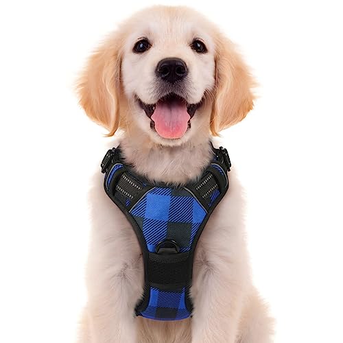 rabbitgoo Dog Harness for Large Dogs No Pull, Adjustable Dog Walking Vest Harness with 2 Leash Clips, Comfort Padded Pet Harness with Handle, Reflective Front Body Harness, Blue Plaid, Medium