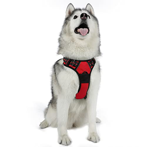 rabbitgoo Dog Harness, No-Pull Pet Harness with 2 Leash Clips, Adjustable Soft Padded Dog Vest, Reflective No-Choke Pet Oxford Vest with Easy Control Handle for Large Dogs, Red, XL