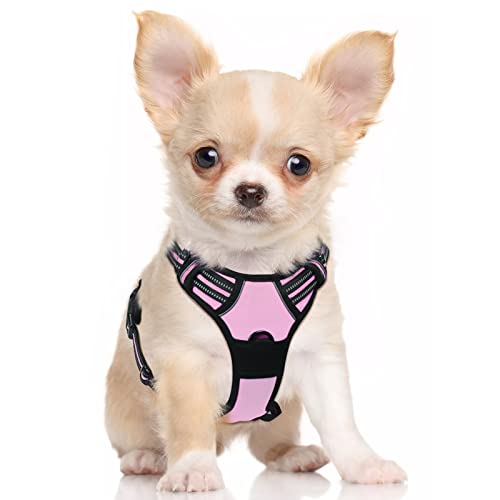 rabbitgoo Dog Harness, No-Pull Pet Harness with 2 Leash Clips, Adjustable Soft Padded Dog Vest, Reflective No-Choke Pet Oxford Vest with Easy Control Handle for Small Dogs, Pink, S