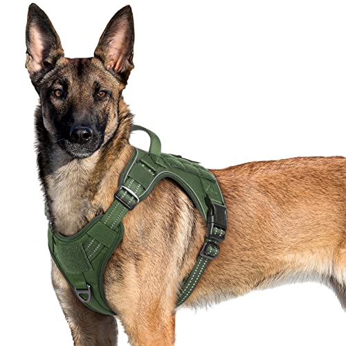 rabbitgoo Tactical Dog Harness No Pull, Military Dog Vest Harness with Handle & Molle, Easy Control Service Dog Harness for Large Dogs Training Walking, Adjustable Reflective Pet Harness, Green, XL