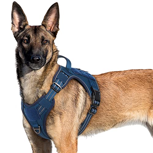 rabbitgoo Tactical Dog Harness No Pull, Military Dog Vest Harness with Handle & Molle, Easy Control Service Dog Harness for Large Dogs Training Walking, Adjustable Reflective Pet Harness, Blue, XL