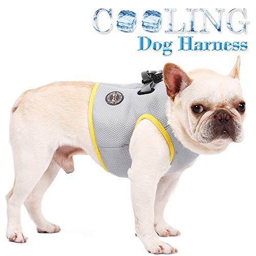 Rantow Dog Cooling Harness - Reflective Pup Cooler Vest Outdoor Training Walking Cool Harness - 7 Sizes for Small Medium Large Pet Dogs (XS (Neck:10.3"-11.1", Chest:14.6"-16.5"))