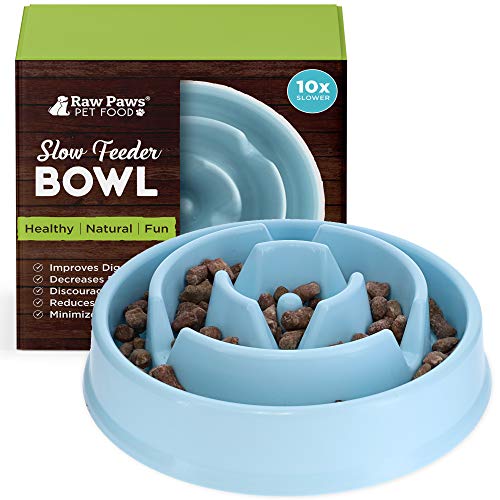 Raw Paws Slow Feeder Dog Bowl - Maze Dog Bowl to Slow Down Eating - Dog Bowl for Fast Eaters - Dog Puzzle Bowl for Slower Eating - Slow Drink Water Bowl for Dogs