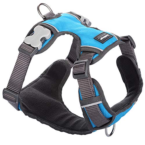 Red Dingo Padded Harness Medium, Turquoise