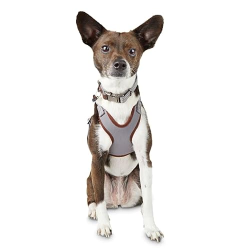 Reddy Grey Cotton Canvas Dog Harness, X-Small