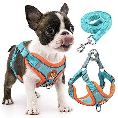 rennaio Dog Harness No Pull, Adjustable Puppy Harness with 2 Leash Clips, Ultra Comfort Padded Dog Vest Harness, Reflective Dog Harness and Leash Set for Small and Medium Dogs (Vibrant Blue, S)