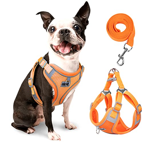 rennaio Dog Harness No Pull, Adjustable Puppy Harness with 2 Leash Clips, Ultra Breathable Padded Dog Vest Harness, Reflective Dog Harness and Leash Set for Small and Medium Dogs (Pumpkin, M)