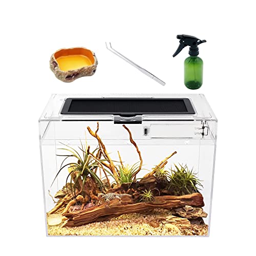 Reptile Growth Mini Reptile Terrarium,12" x 7"x 9" Reptile Tank with Full View Visually Appealing，for Insect，Fish，Tarantula，Hermit crab，Jumping spider，Iguana，Tortoise，Leopard Gecko，Frog，Bearded dragon