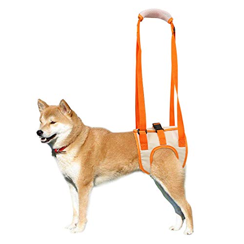 ROZKITCH Dog Lift Harness, Pet Rear Support Aid Veterinarian Approved Sling for Old K9 Help with Poor Stability, Back Leg Hip Disabled Joint Injury Elderly and Arthritis ACL Rehabilitation Rehab