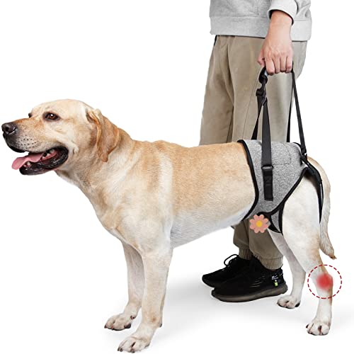 ROZKITCH Dog Lift Harness, Pet Rear Support Aid Veterinarian Approved Sling for Old K9 Help with Poor Stability, Back Leg Hip Disabled Joint Injury Elderly Arthritis ACL Rehabilitation Rehab Grey L