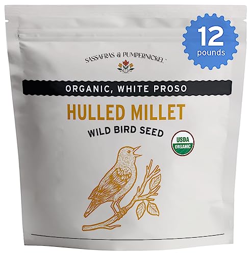 Sassafras & Pumpernickel Organic Millet without Hulls (12 lbs) USA Grown and Packaged, Bulk White Proso Millet for Birds, Hull-on Millet for added nutrients, Millet Bird Seed for parakeets, cockatiels