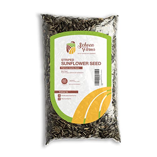 Schoen Farms Striped Sunflower Seeds for Birds, (3 Pound)