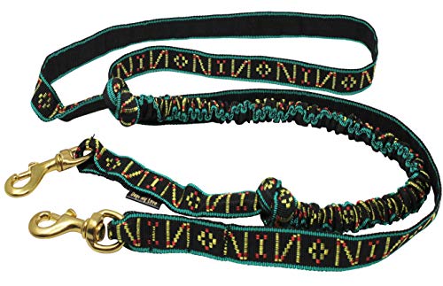 Shock Absorbing Bikejoring Skijoring Bungee Dog Leash Line 1" Wide