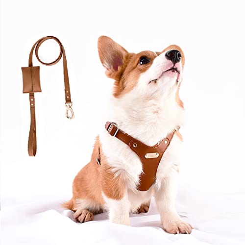 SLMHEALTHSH Small Dog Harness and Leash Set, Small Dog Harness,No Pull Adjustable Durable Dog Harness,Non-Stick Dog Hair Waterproof Leather Dog Harness (Brown Set, Large)