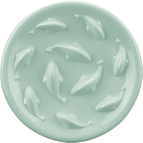 Slow Feeder Bowl for Cats and Small Dogs,Cilkus Fish Pool Design, Fun Interactive Bloat Stop Puzzle Feeder Bowl Healthy Eating Diet Made of Melamine Food Grade Material Dishwasher Safe (Green)
