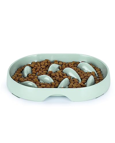 Slow Feeder Cat Bowl, 2023 Upgrade-Raised Rim Spill Proof Slow Eating Cat Bowl for Wet Food/Dry Food, Fish Pool Design Cat Puzzle Feeder, Anti Vomiting Anti-Gulping Healthy Eating Diet Pet Bowls