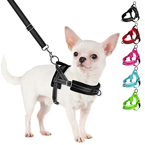 SlowTon No Pull Small Dog Harness and Leash Set, Puppy Soft Vest Harness Neck & Chest Adjustable, Reflective Lightweight Harness & Anti-Twist Pet Lead Combo for Small Medium Dogs (B-Front Clip,XXS)