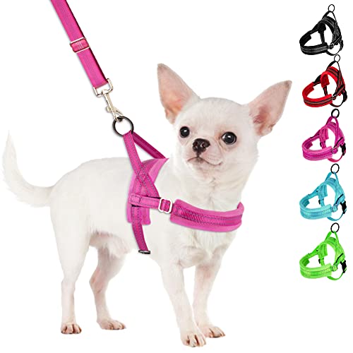 SlowTon No Pull Small Dog Harness and Leash Set, Puppy Soft Vest Harness Neck & Chest Adjustable, Reflective Lightweight Harness & Anti-Twist Pet Lead Combo for Small Medium Dogs (Fuchsia, XXS)