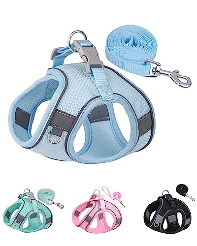 Solmoony Dog Harness for Small Medium Large Dogs No Pull, Puppy Harness and Leash Set, Puppy Harness for Small Dogs, Step in Harness for Small Dogs, Small Dog Harness, mesh Dog Harness. (Bule, XS)