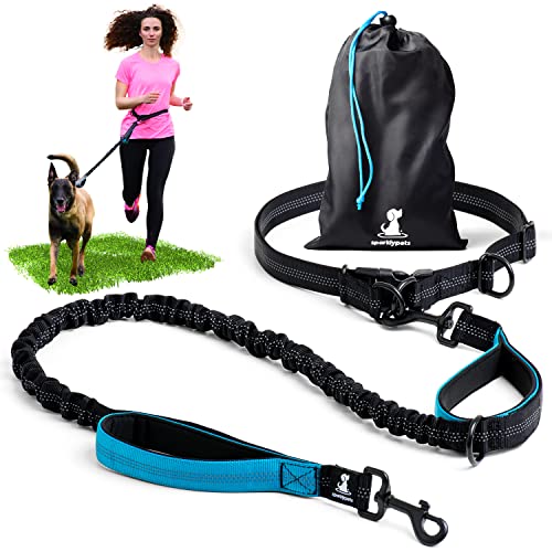 SparklyPets Hands Free Dog Leash for Medium and Large Dogs – Professional Harness with Reflective Stitches for Training, Walking, Jogging and Running Your Pet (Blue, for 1 Dog)