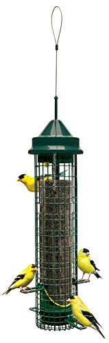 Squirrel Buster Finch Squirrel-proof Bird Feeder w/4 Metal Perches & 8 Feeding Ports, 2.4-pound Thistle/Nyjer Seed Capacity