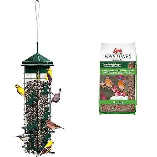 Squirrel Solution200 Squirrel-Proof Bird Feeder & Lyric Fine Tunes Wild Bird Seed - No Waste Bird Food Mix - Attracts Bluebirds, Finches, Chickadees & More - 15 lb. Bag