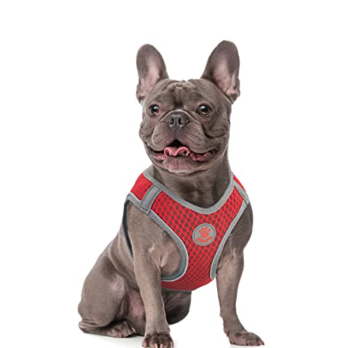 Step-in Bulldog Dog Harness - All Weather Mesh Step in Vest Harness for Medium and Small Dog - Adjustable for French Bulldog, Mini Bulldog (25-50 lbs)