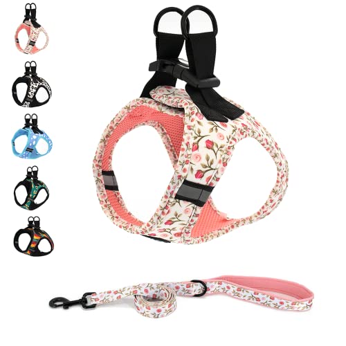 Step in Dog Harness and Leash Set, Reflective Dog Harness and Leash No Pull Dog Harness for Small Medium Large Dogs and Cats (M(Neck:14-15.5",Chest:17-19.5"), RoseFlower)