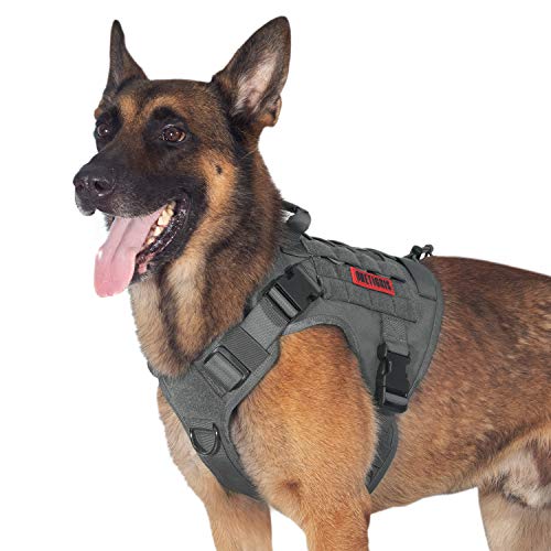 Tactical Dog Training Vest No Pull Harness for Dogs,Adjustable Dog Hiking Harness Working Vest(Grey,Medium)