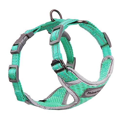 ThinkPet Reflective Breathable Soft Air Mesh No Pull Puppy Choke Free Over Head Vest Harness for Puppy Small Medium Dogs and Cats Teal XX-Small