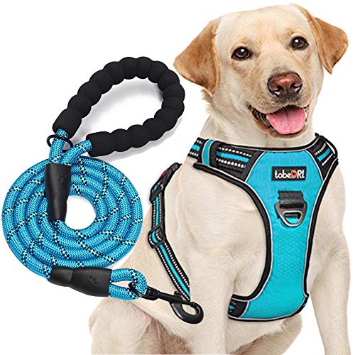 tobeDRI No Pull Dog Harness Adjustable Reflective Oxford Easy Control Medium Large Dog Harness with A Free Heavy Duty 5ft Dog Leash (L (Neck: 18"-25.5", Chest: 24.5"-33"), Blue Harness+Leash)