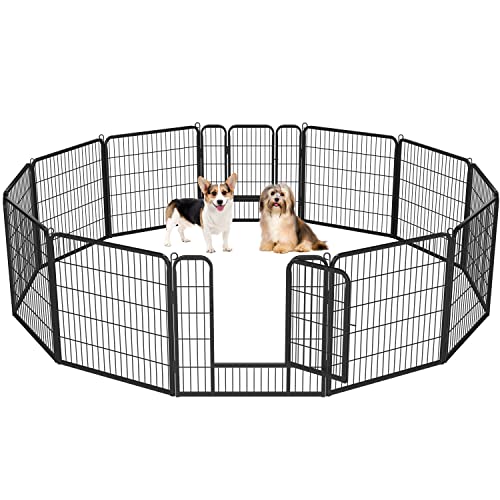 12 Panel Dog Playpen 2024 Vet Ranch We Love Pets