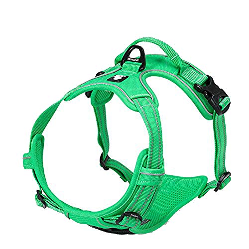 TRUE LOVE Adjustable No-Pull Dog Harness Reflective Pup Vest Harnesses Comfortable Control Brilliant Colors Truelove TLH5651(Grass Green,L)