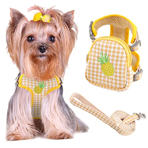 UETZLTB Cute Small Dog Harness and Leash Set No Pull Puppy Harness Step-in Adjustable Puppy Cat Dog Vest Harnesses Soft Mesh Breathable Dog Harness Backpack Pet Harness for Puppies Small Medium Dogs