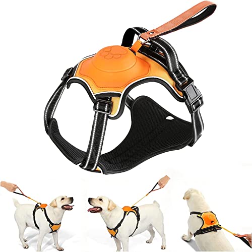 Upgrade 2 in 1 No Pull Dog Harness & Retractable Dog Leash【Auto-Lock Function】,AMORONE Reflective Service Dog Harness, Adjustable Dog Vest with Control Handle for Medium/L/XL Dogs(Orange,XL)