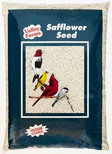 Valley Farms Safflower Seed Wild Bird Food - Attract Cardinals & Titmice! (4 LBS Pack of 1)