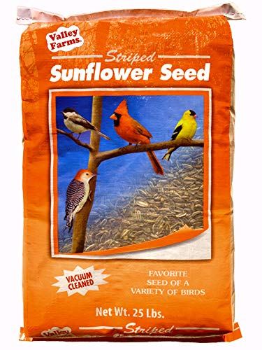 Valley Farms Striped Sunflower Seed - Wild Bird Favorite, Classic Year 'Round Wild Bird Food (25 LBS)